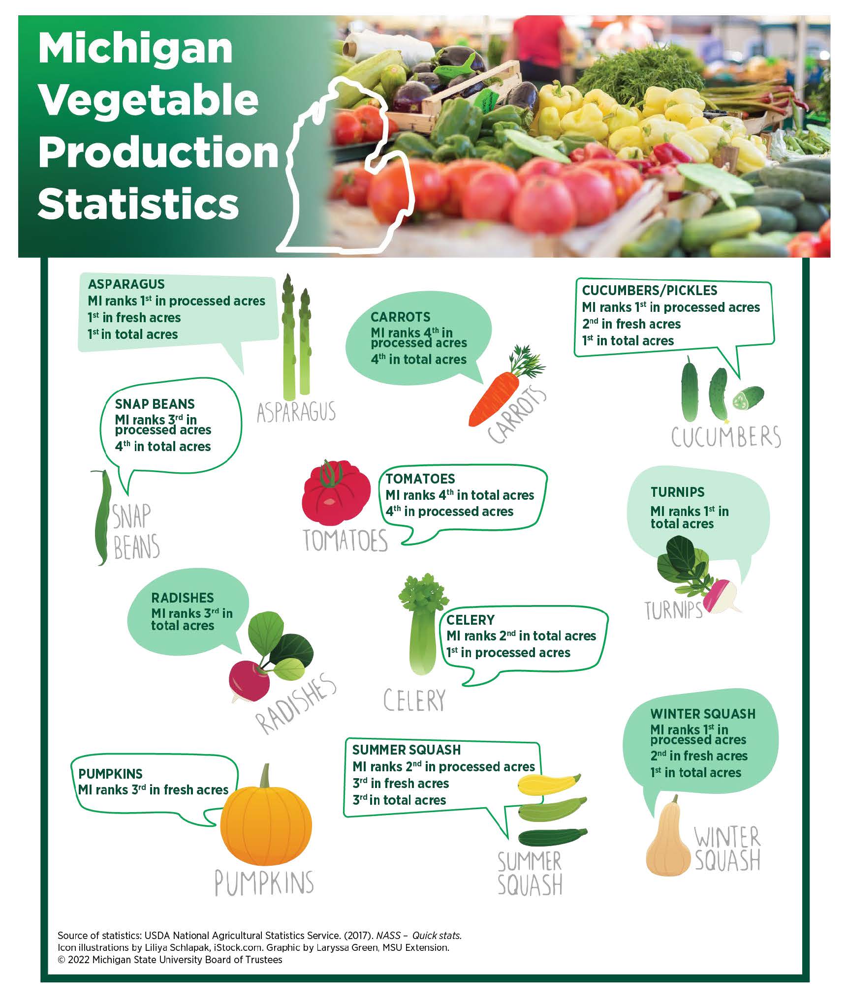 Michigan vegetables statistics